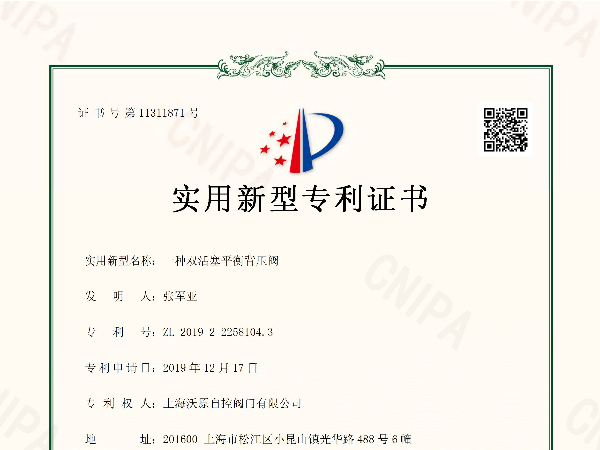 一种双活塞平衡妖精视频app